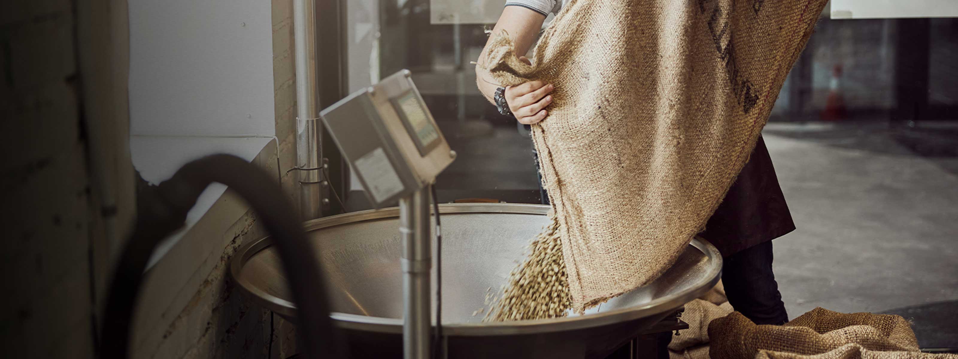 Bir kahve kavrum atölyesindeki kahve tartısına çiğ kahve çuvalından çekirdekler aktarılarak tartımı yapılıyor.